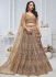 Brown Net Festival Wear Embroidery Work Lehenga Choli KF04B